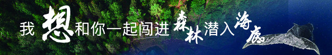 最后的儒家