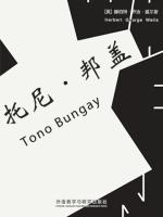 托尼·邦盖 Tono Bungay