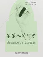 某某人的行李 Somebody's Luggage