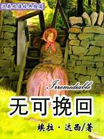 无可挽回 Irremediable