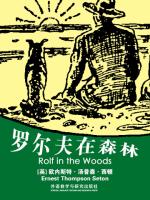 罗尔夫在森林 Rolf In The Woods