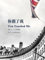 你摸了我 You Touched Me