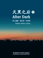 天黑之后（下） After Dark