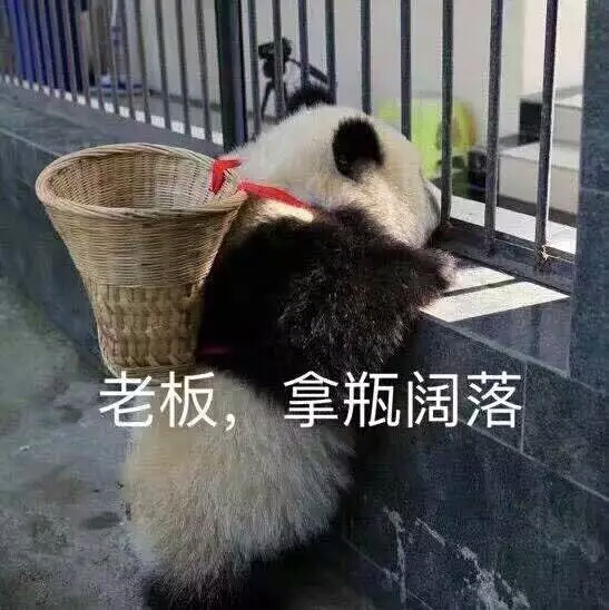 陈鲸鱼
