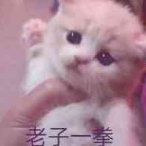 梵高先生