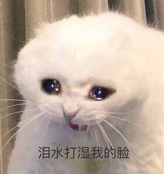 杨兴博