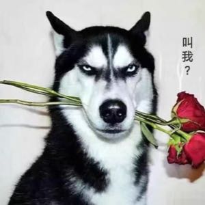 陈家伟