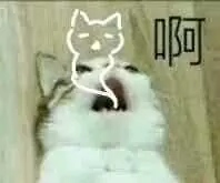 ~\(≧▽≦)/~